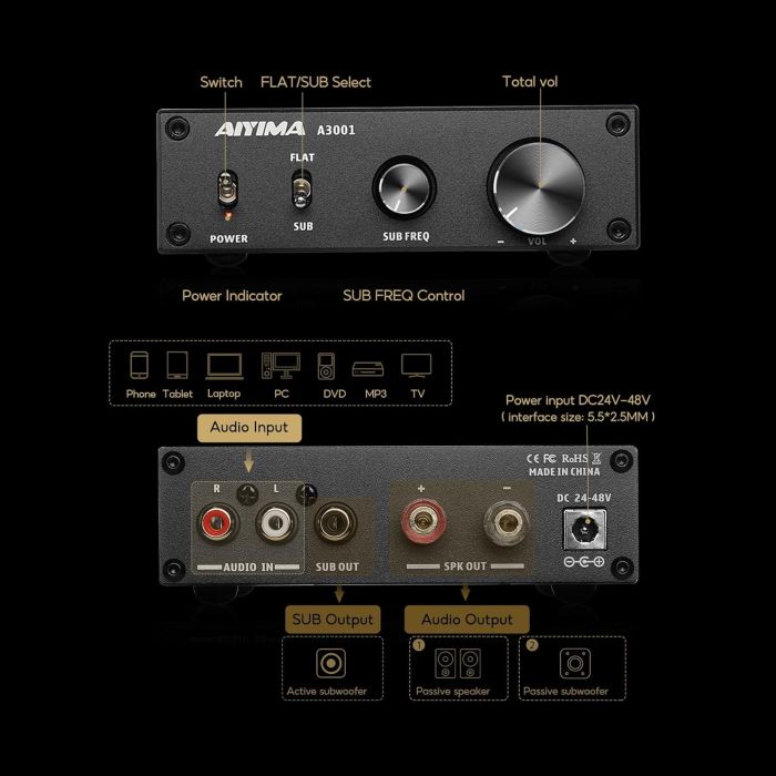 AIYIMA A3001